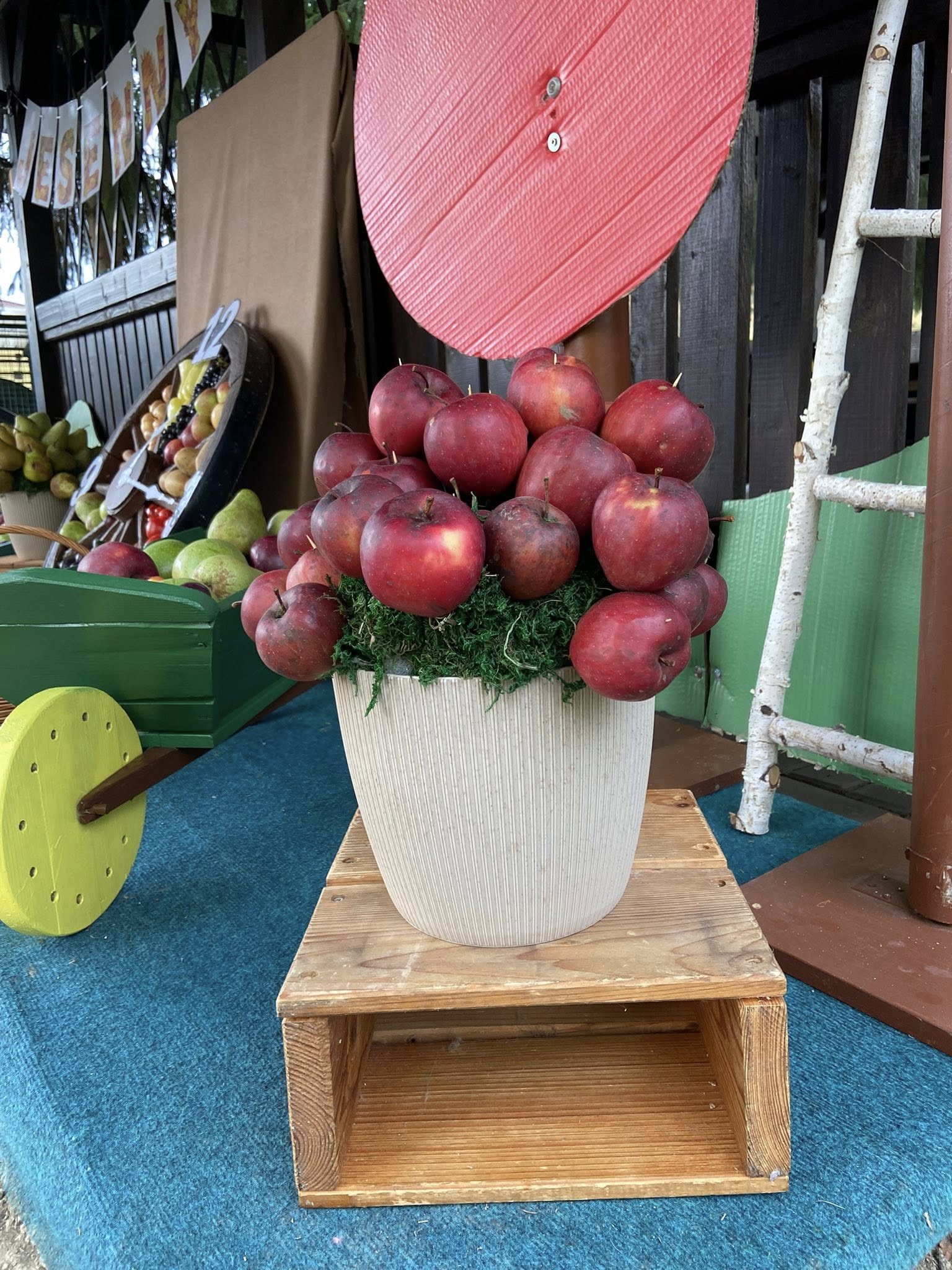 565738330_1251090633490387_5028425181130656231_n