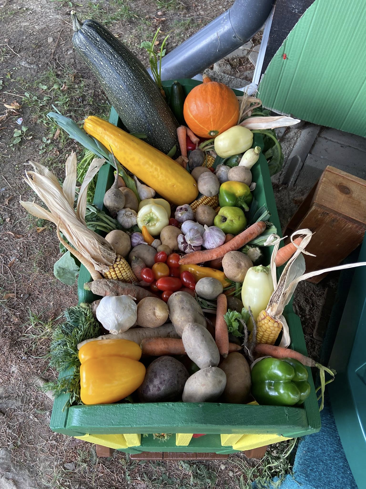 565861387_1251090590157058_1534116302143053186_n