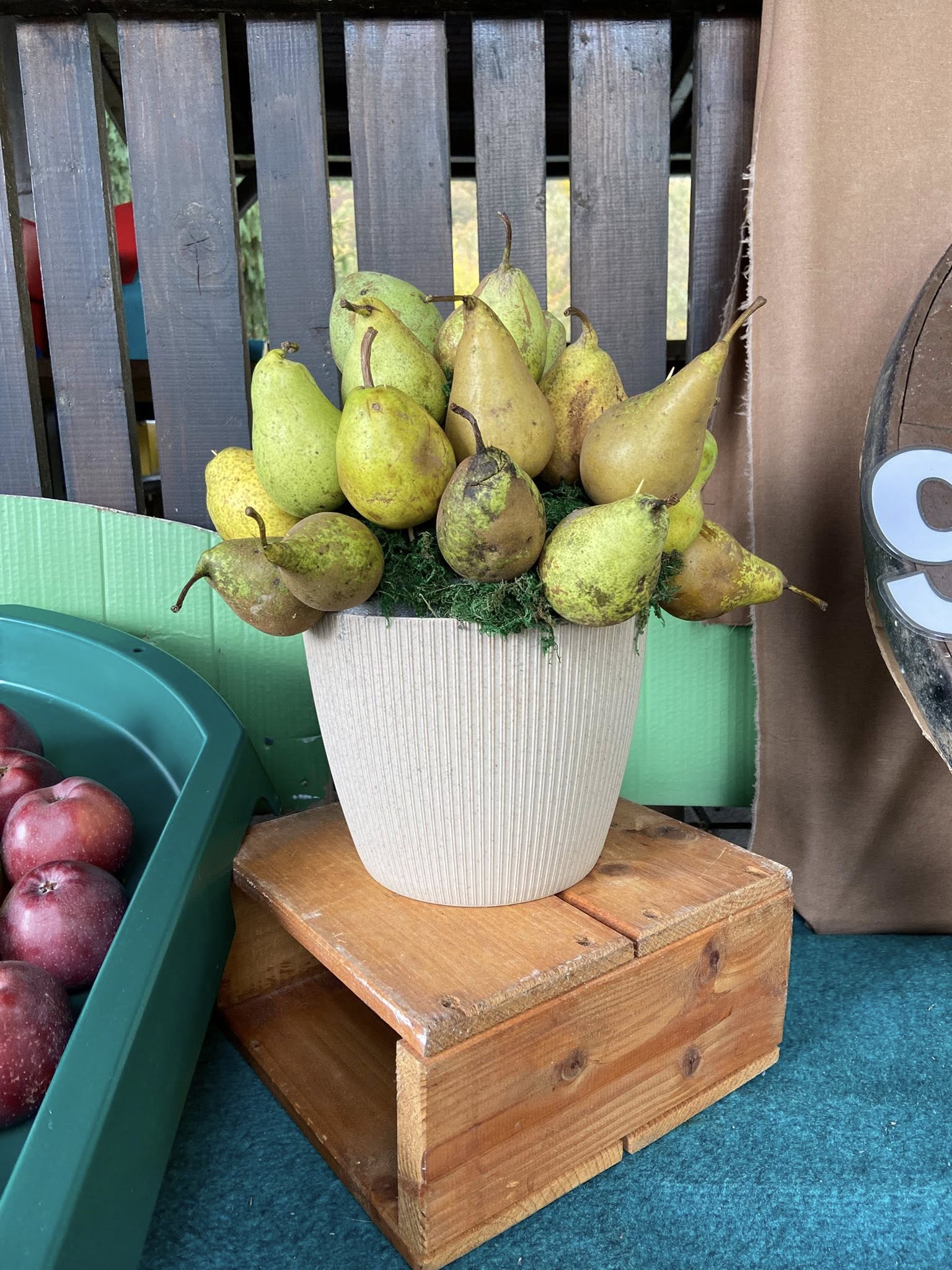 566210638_1251090656823718_3886465831497964262_n