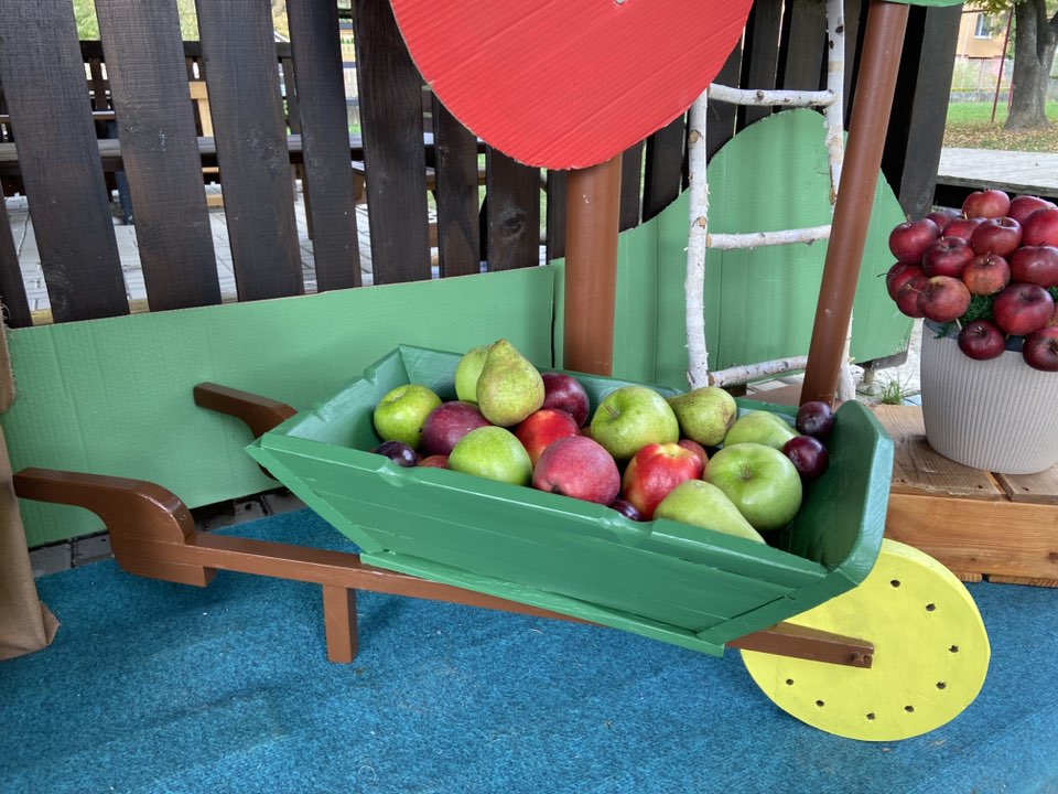 568504753_1251088810157236_7298428798334199992_n