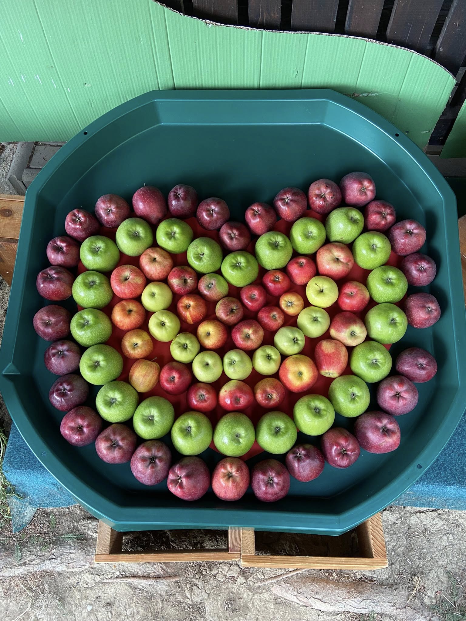 569731924_1251090583490392_3526290824394990255_n