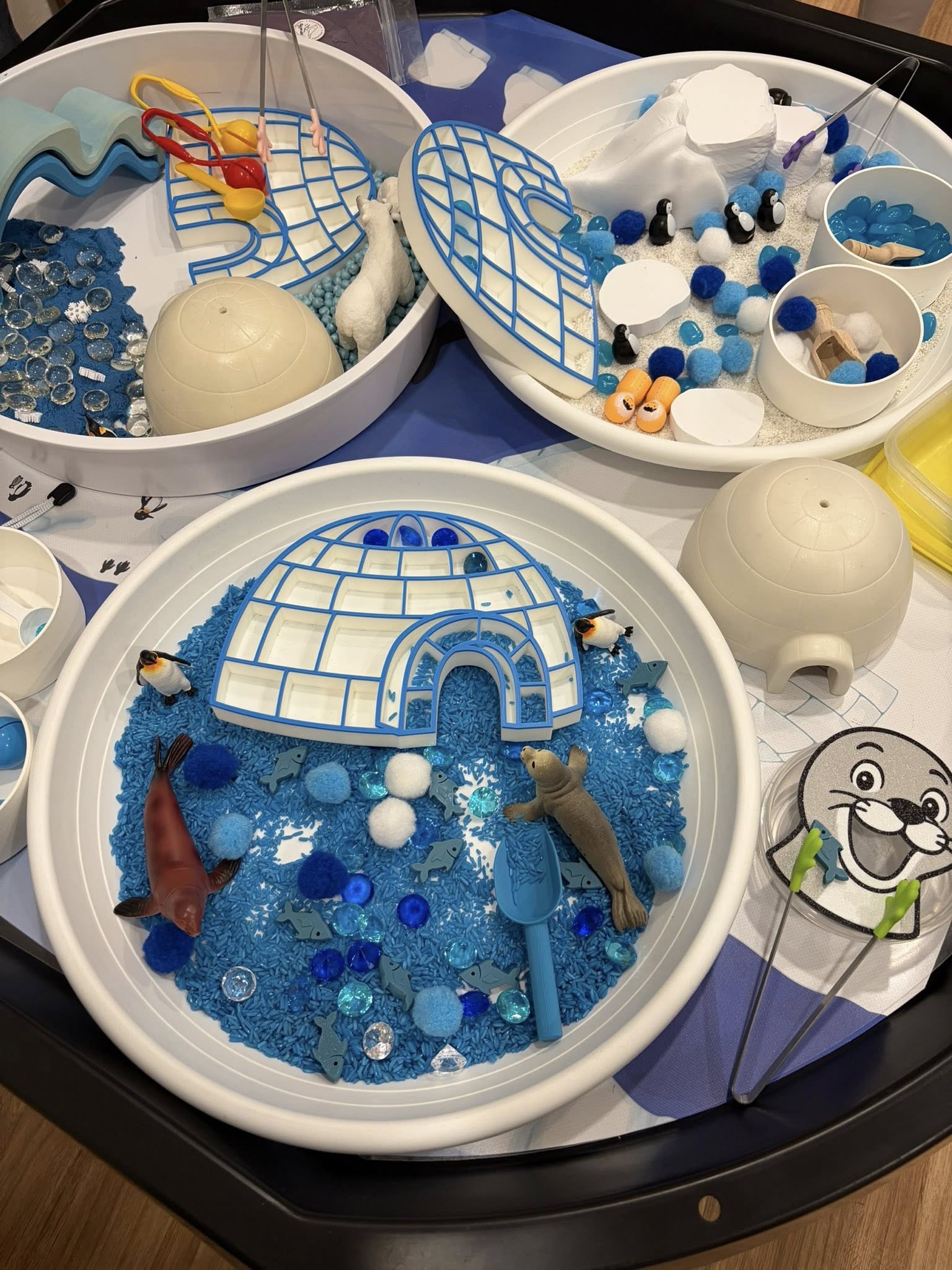 617975815_1319066463359470_7706691643945373433_n