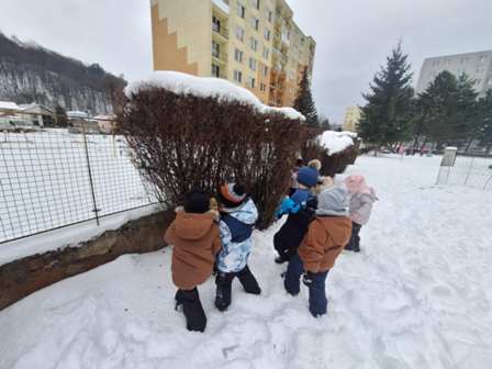 7ad393ec-0fa9-4eb5-a5ef-125ac226235c