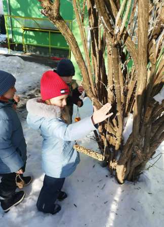 00012490-2285-40cc-8dcf-840582f7067d