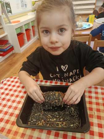 719ee98b-37a7-45de-8182-3e89134af0f5