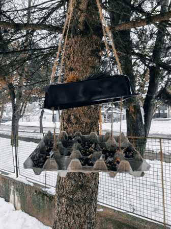 85caa3ea-84a3-45b2-8e1a-8b27ceb50318