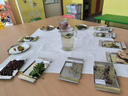 5abefb00-090f-4e88-84fc-e990e4986b91