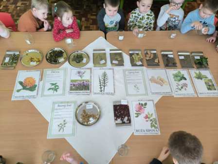 7d6c0464-de37-466c-ab43-490262b23a20