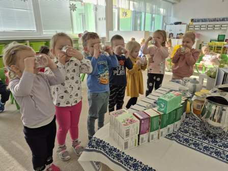 3966e1f1-3188-4079-b3ce-57f84809a746