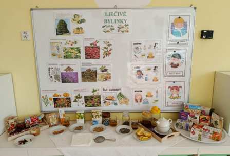 a7ed972b-67ce-4034-a142-3a969ec36c3f