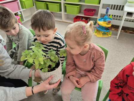 e9e8867e-8995-4424-8dd4-38c2b4962052