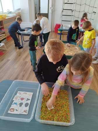 654438205_1366517291947720_680280184778877638_n