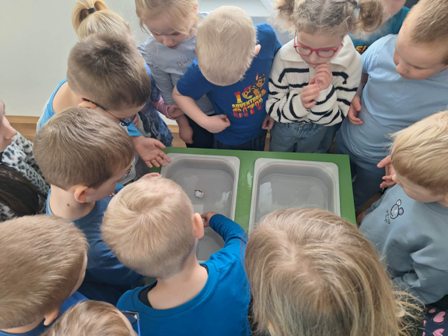 656368618_1366726055260177_3917716709106047532_n