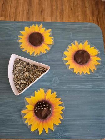 668461809_1383441020255347_1768880921003759364_n