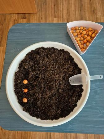 668726187_1383450090254440_1412513177287527982_n