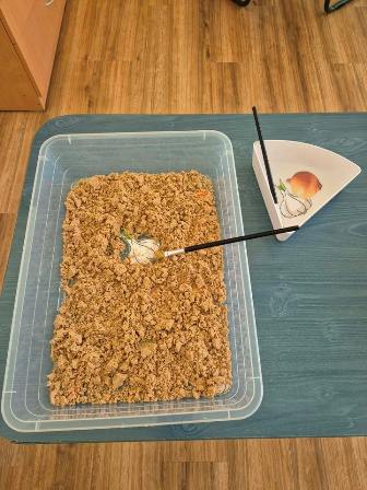 670780508_1383442436921872_2688311044860315751_n