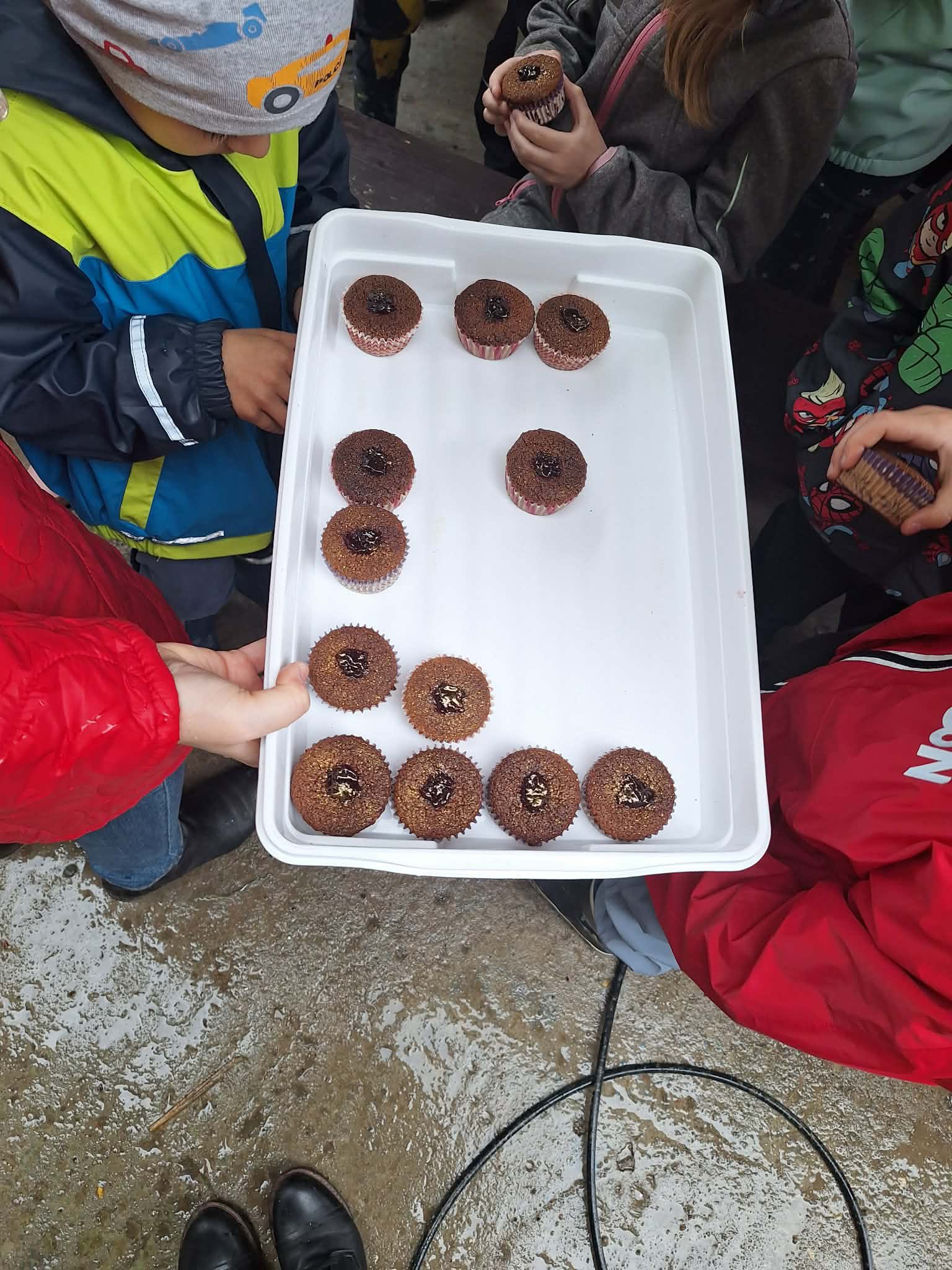 696259167_1408896084376507_1202237900948280889_n